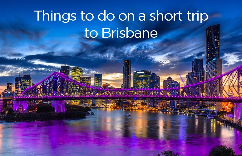 things to do on a short trip to brisbane ovolo hotels